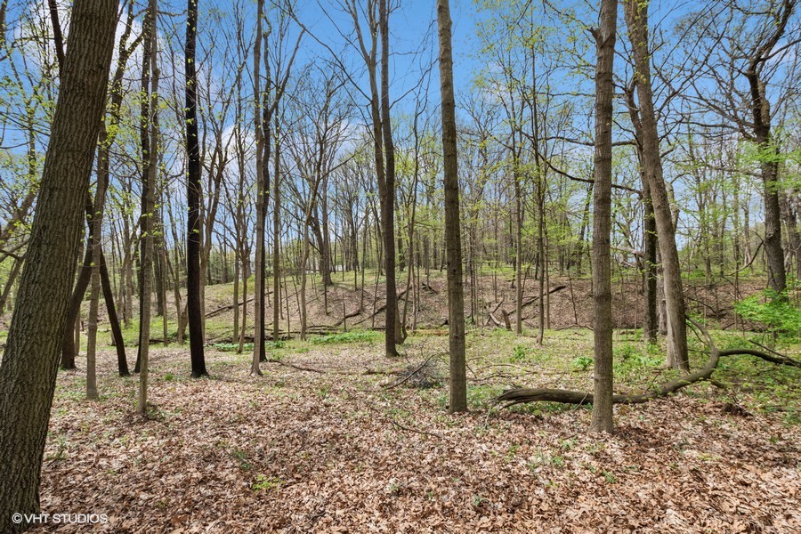821 Chatfield Road New Lenox, IL 60451 - Photo 67 of 68 Gallery Image 67