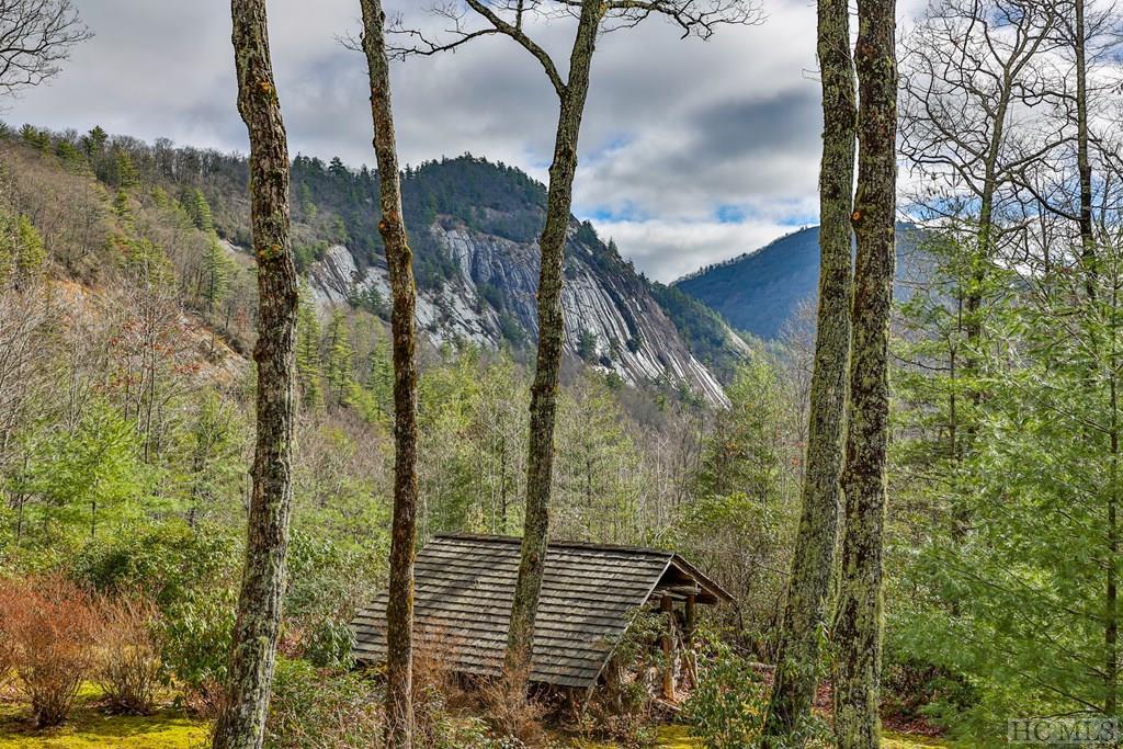 690 Halsted Road Cashiers, NC 28717 - Photo 16 of 62 Gallery Image 16