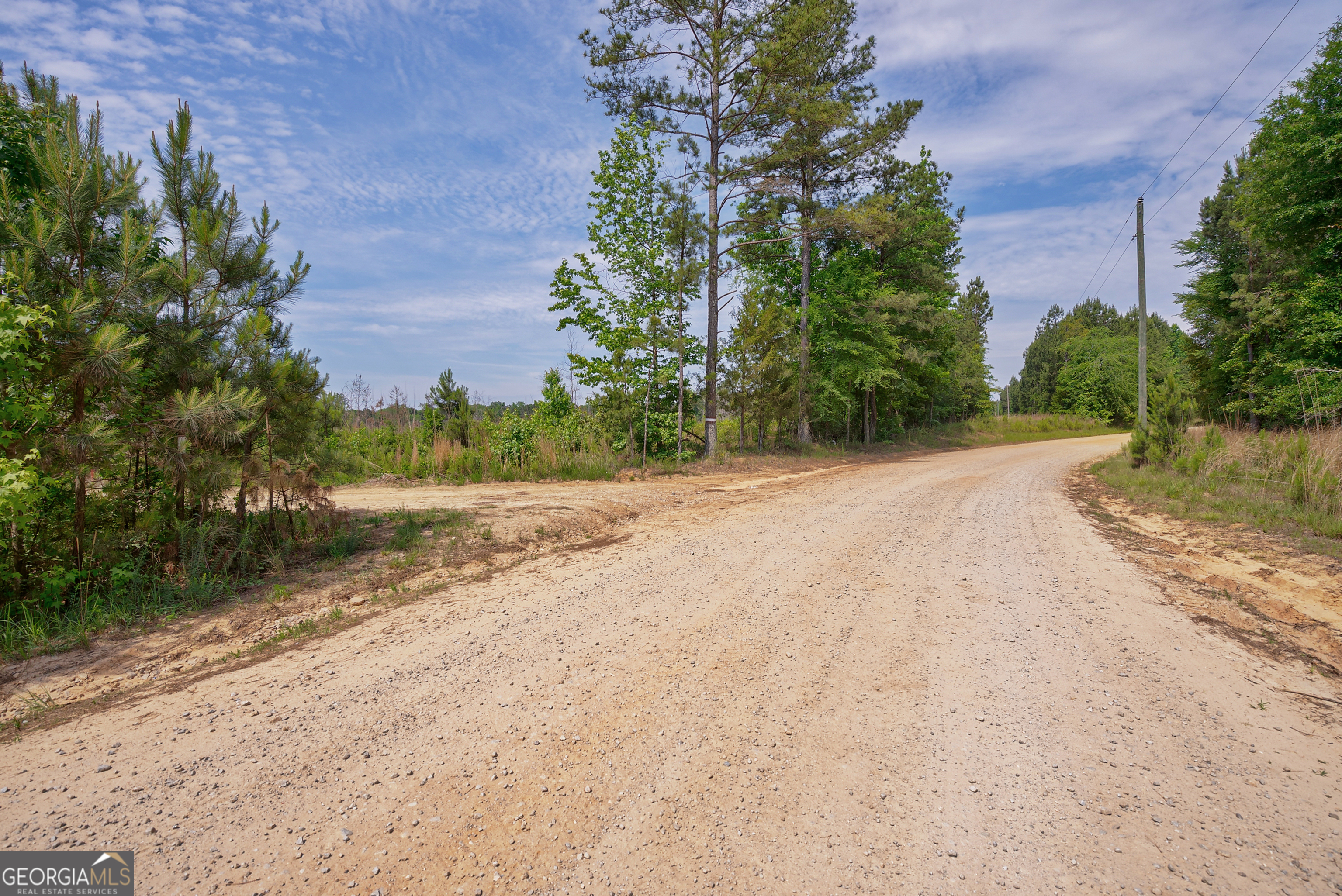 0 Gene Smith Road Carlton, GA 30627 - Photo 4 of 29 a view of a dirt road with a building in the background