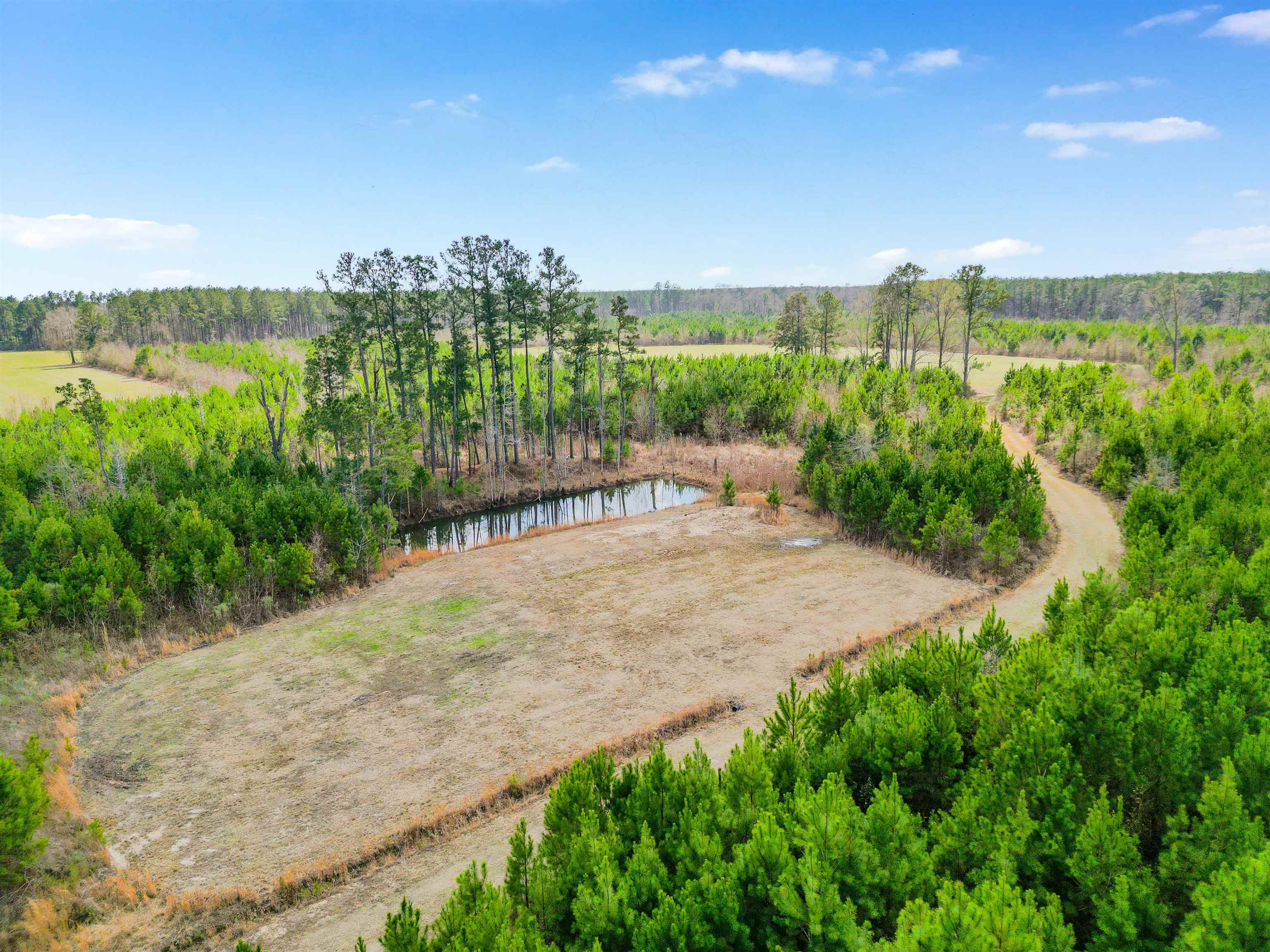 Tbd Muddy Creek Road Hemingway, SC 29554 - Photo 18 of 21