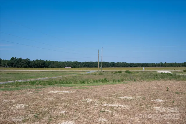 $249,900 | 7771 Hwy 265 Highway, Mount Croghan, SC 29727