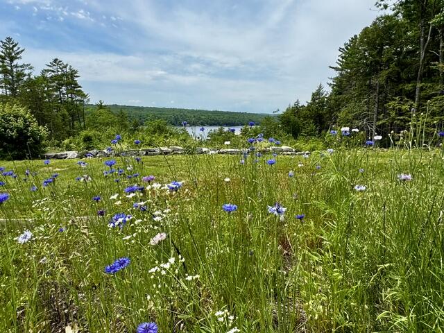 558 Old Ferry Road Hartland, ME 04943 - Photo 51 of 57