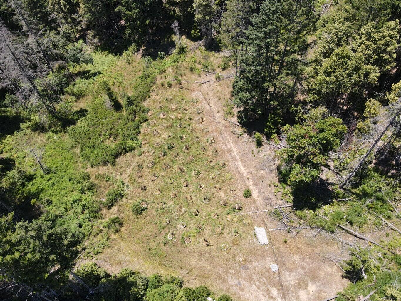 160-acres Alderpoint Road Alderpoint, CA 95511 - Photo 6 of 16