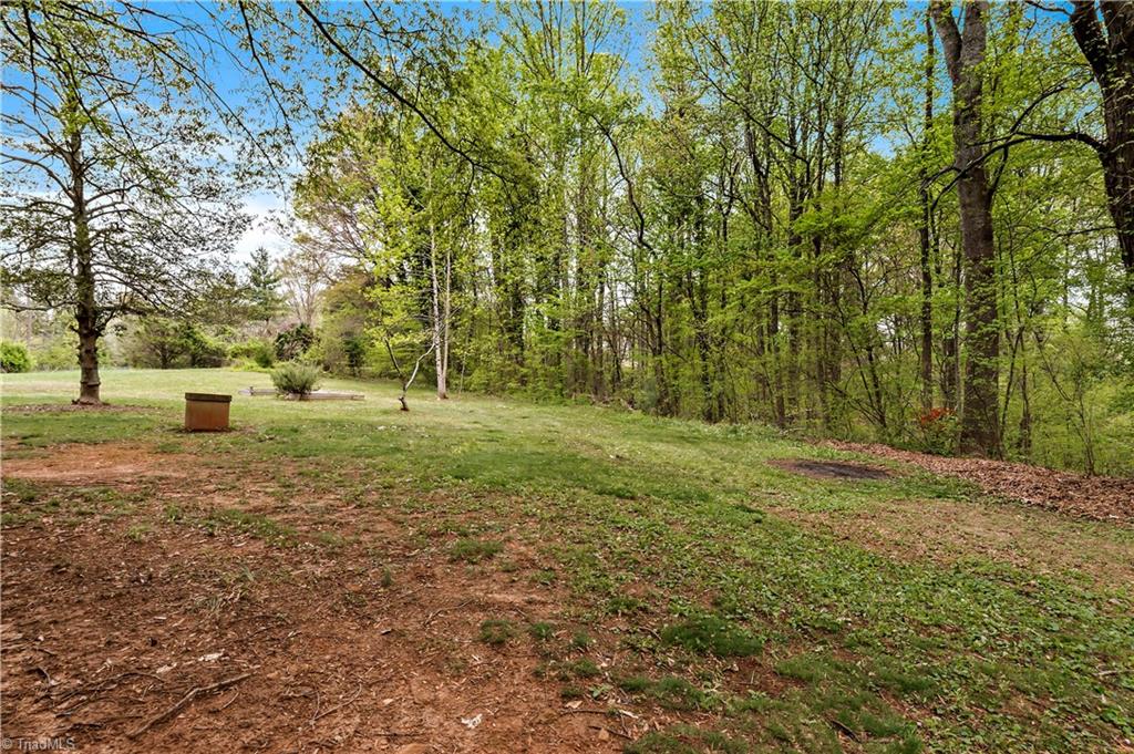 9000 Shallowford Road Lewisville, NC 27023 - Photo 26 of 30