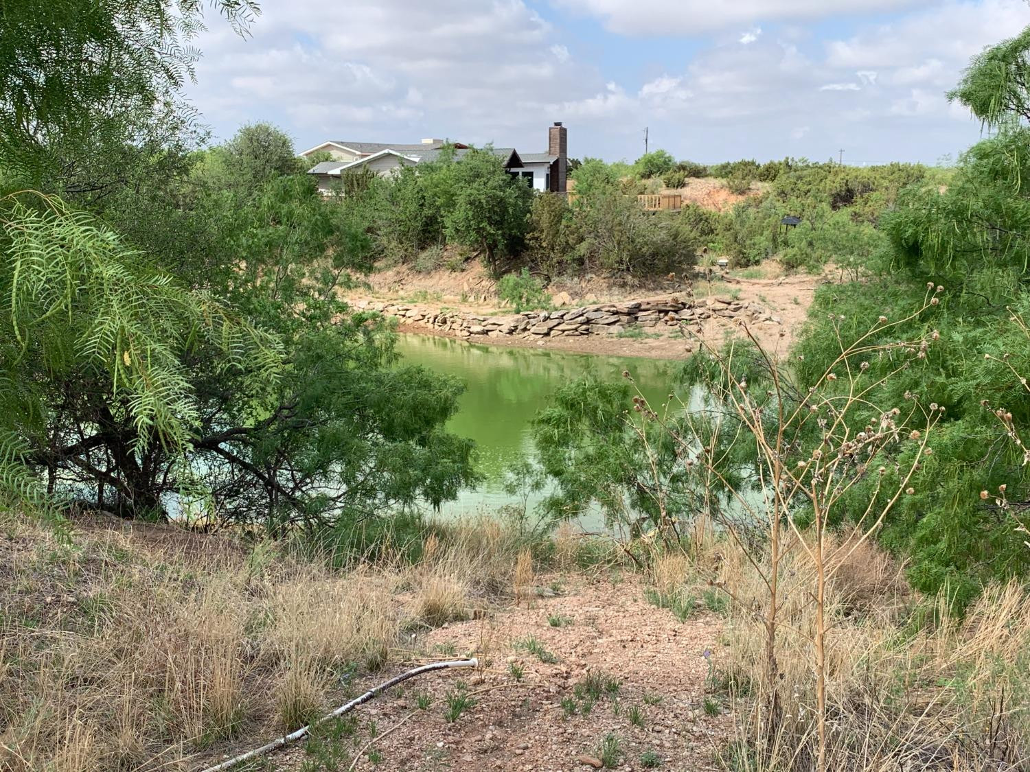 266 Fagan Road Snyder, TX 79549 - Photo 8 of 33 Photo 8