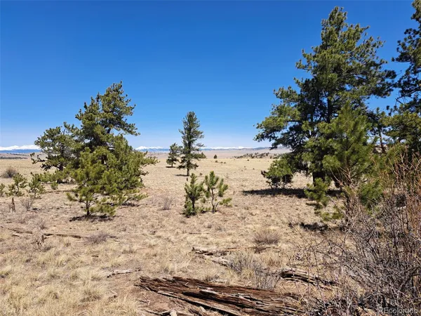 a view of a dirt field with trees in the background