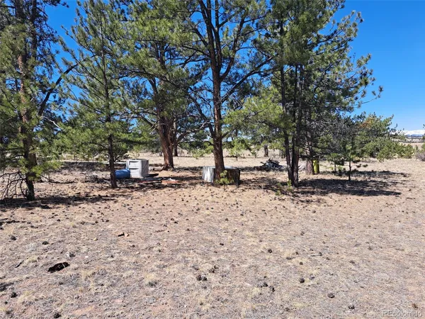a view of a backyard with large trees