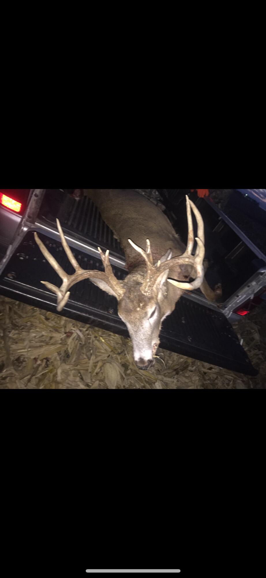 0 Cth Xx Viroqua, WI 54665 - Photo 16 of 20 IMG_4943 4