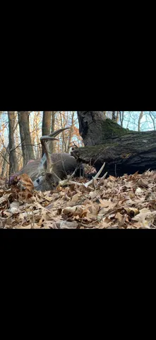 $999,000 | Lt0 Lt0 Cth Xx, Viroqua, WI 54665