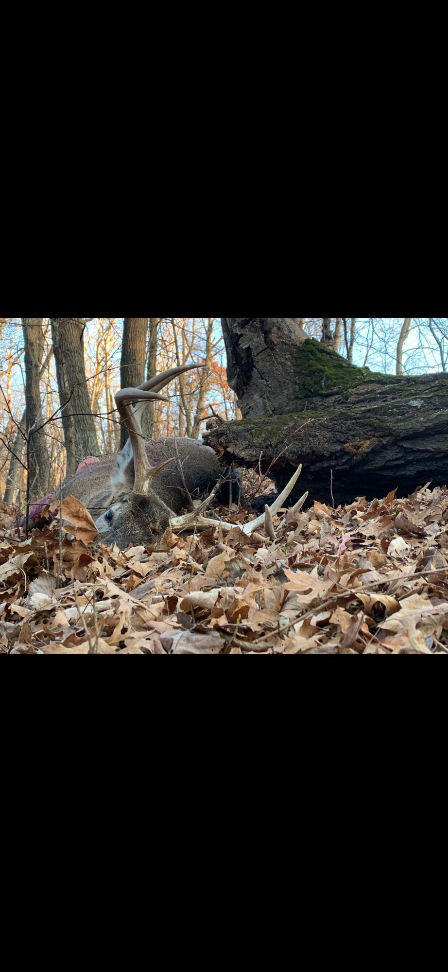 0 Cth Xx Viroqua, WI 54665 - Photo 20 of 20 IMG_4952 4