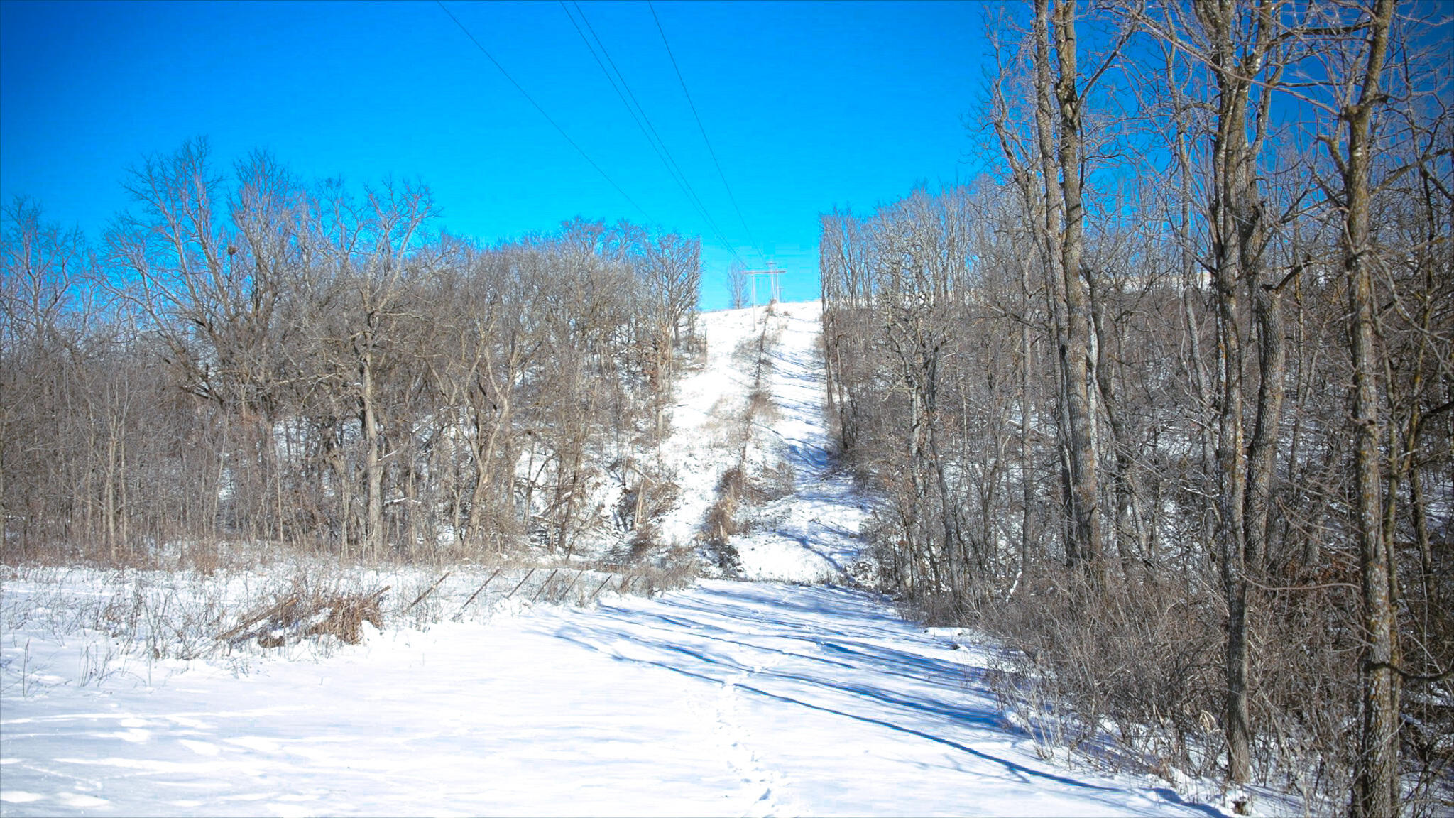 0 Cth Xx Viroqua, WI 54665 - Photo 4 of 20 Thomas Video 3