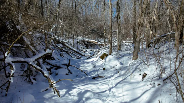 $999,000 | Lt0 Lt0 Cth Xx, Viroqua, WI 54665