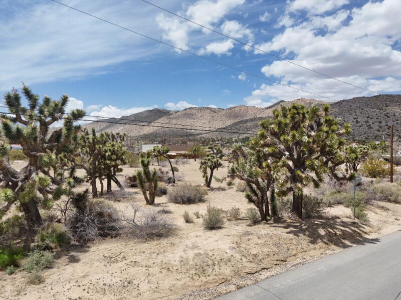 7608 Olympic Road Joshua Tree, CA 92252 - Photo 26 of 26 a view of a outdoor space with lots of trees