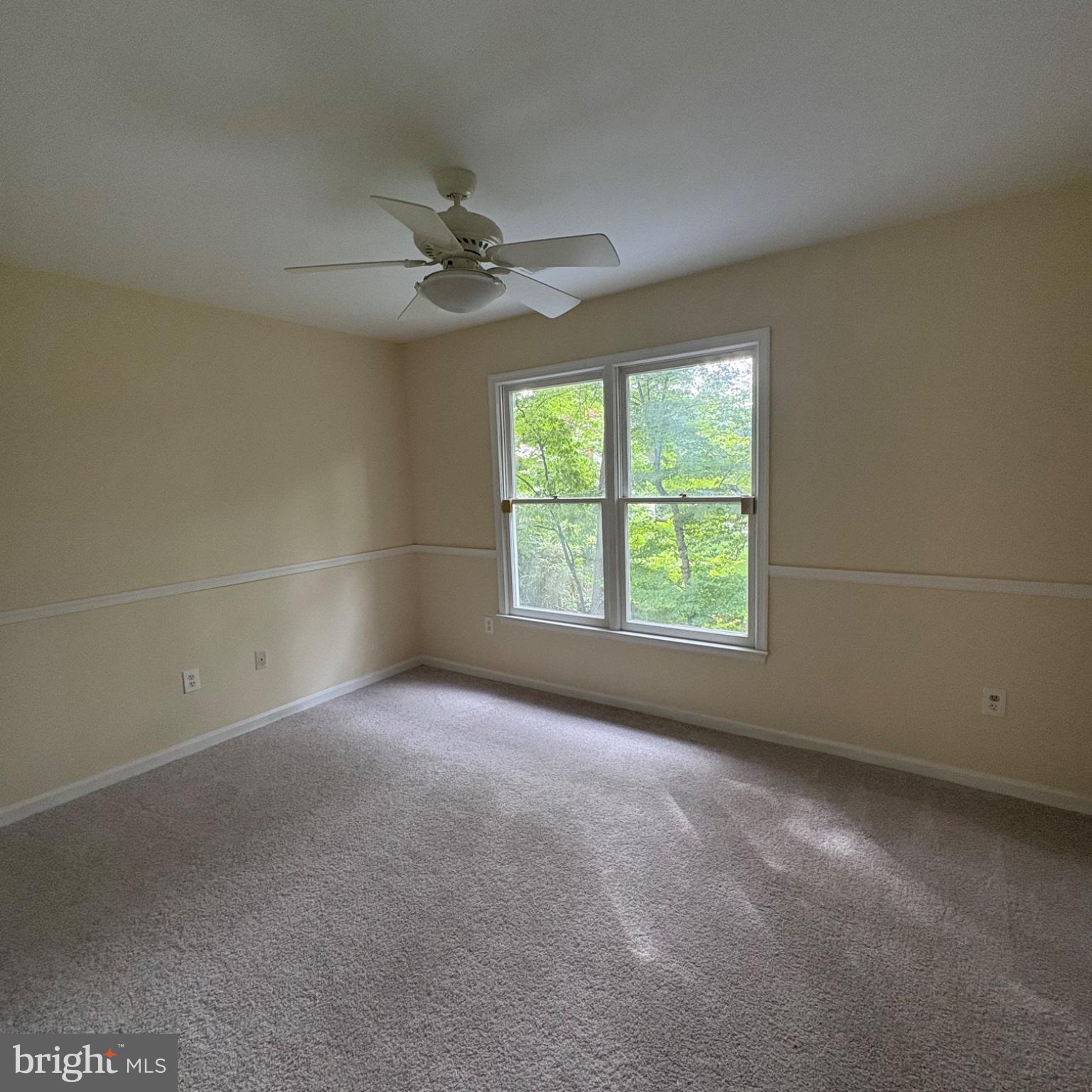3502 Holly Road Annandale, VA 22003 - Photo 19 of 57 en empty room with windows and ceiling fan