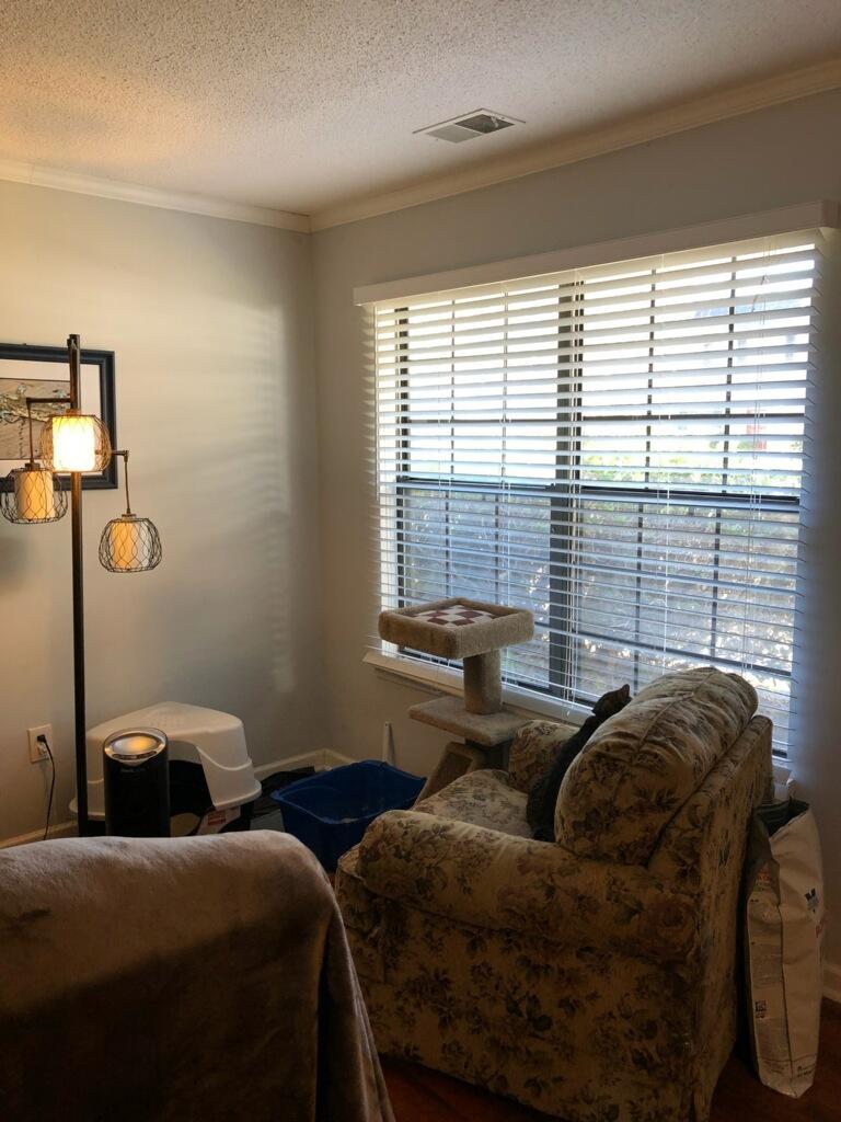 2362 Parsonage Road, Unit 11B Charleston, SC 29414 - Photo 7 of 15 IMG_6327