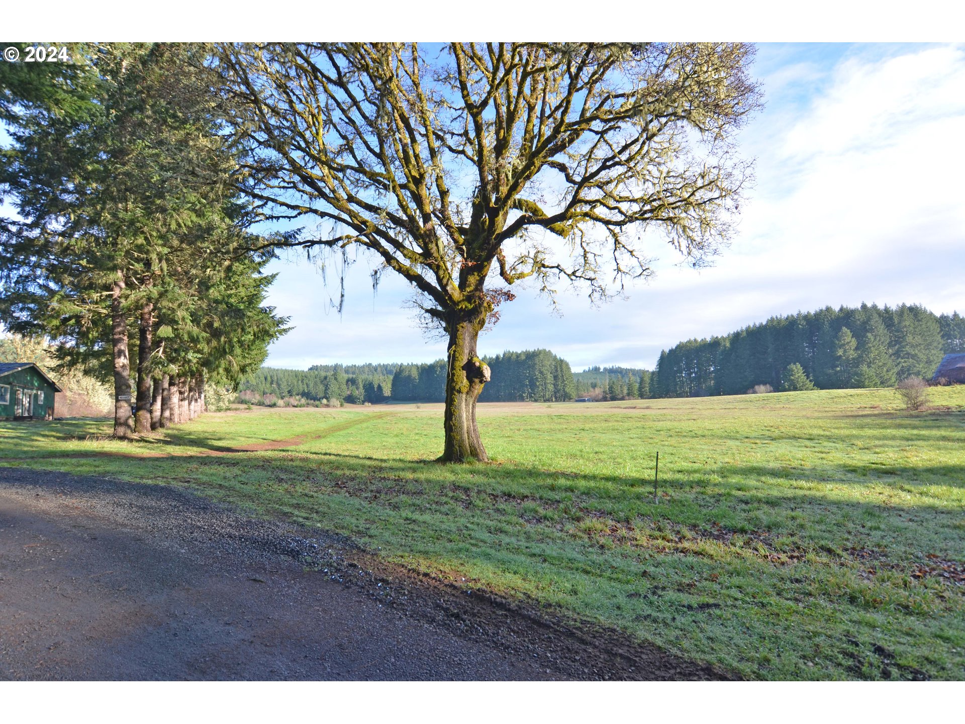 West Sheffler Road Elmira, OR 97437 - Photo 4 of 5 Gallery Image 4