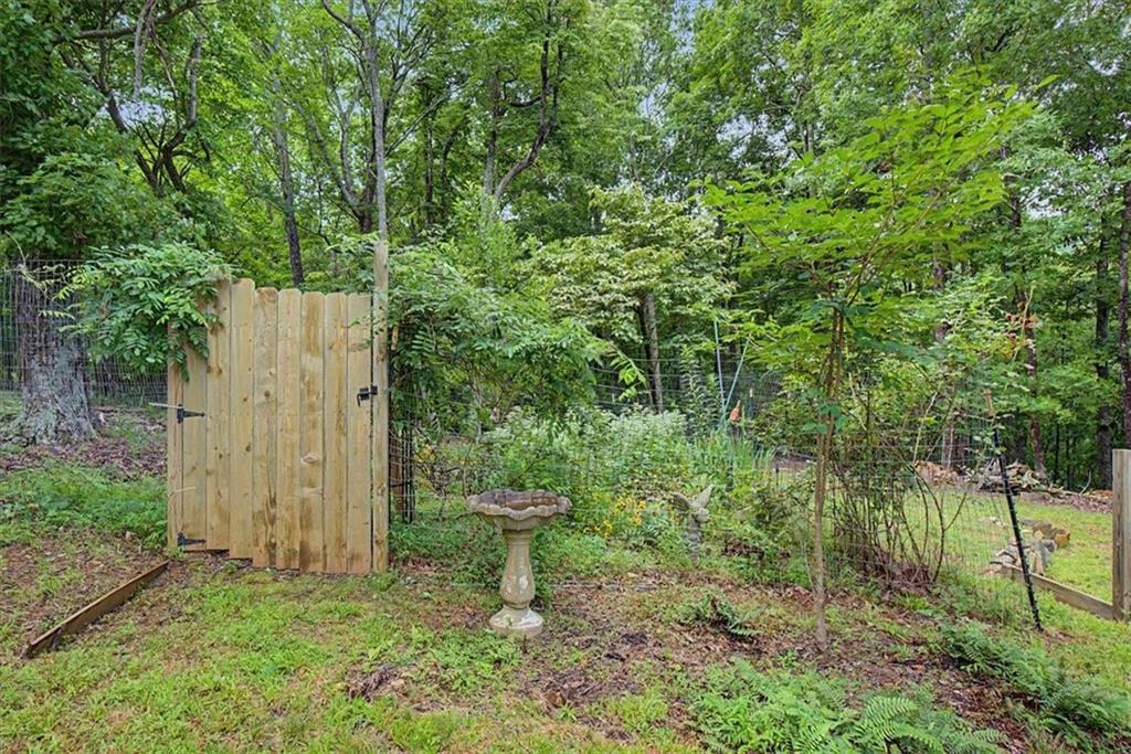 1002 Raccoon Ridge Northeast Ranger, GA 30734 - Photo 37 of 77