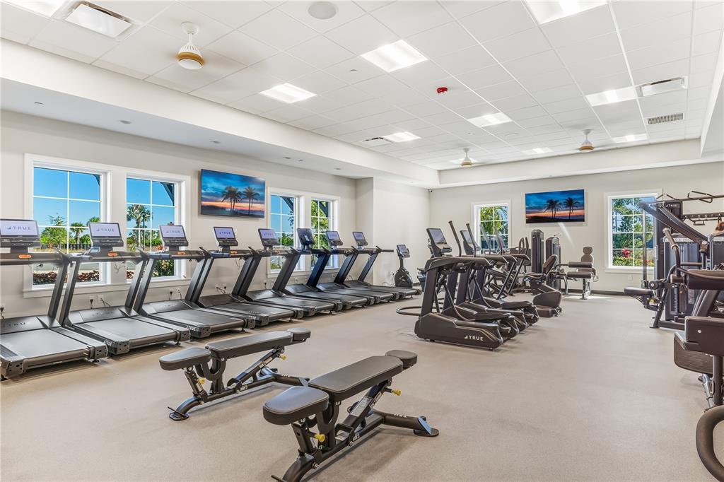 18011 Cropside Trail Lakewood Ranch, FL 34211 - Photo 38 of 41 a view of a room with gym equipment