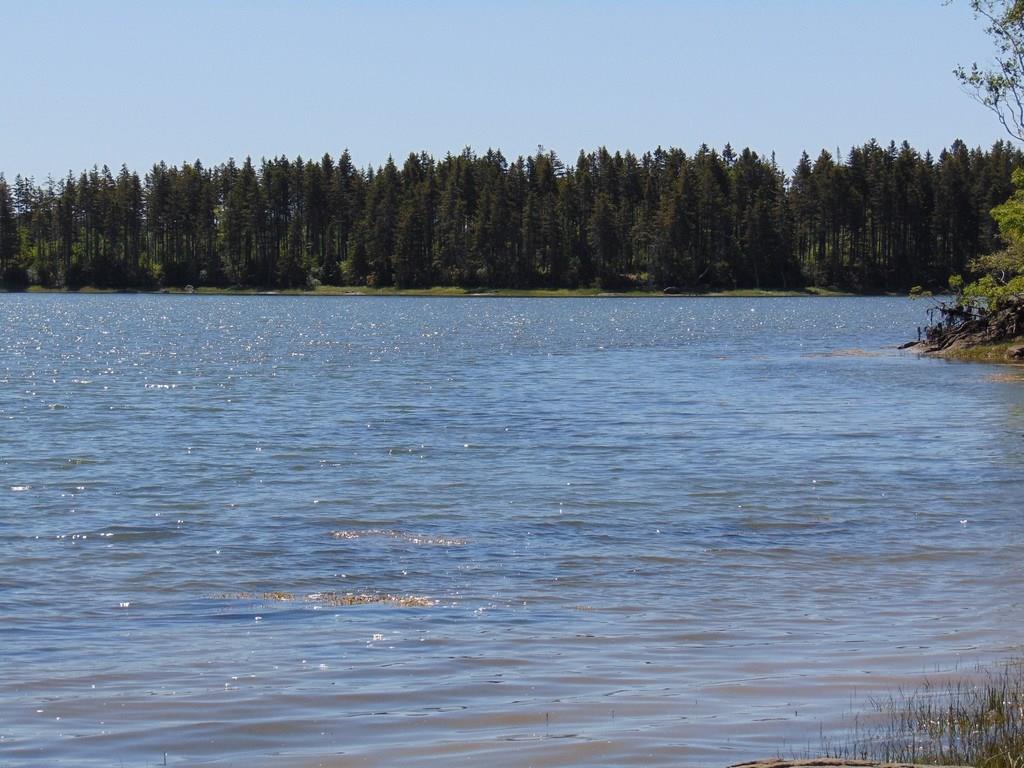 420 Basin Road Addison, ME 04606 - Photo 21 of 26 Oh yeah...here's the water view from...