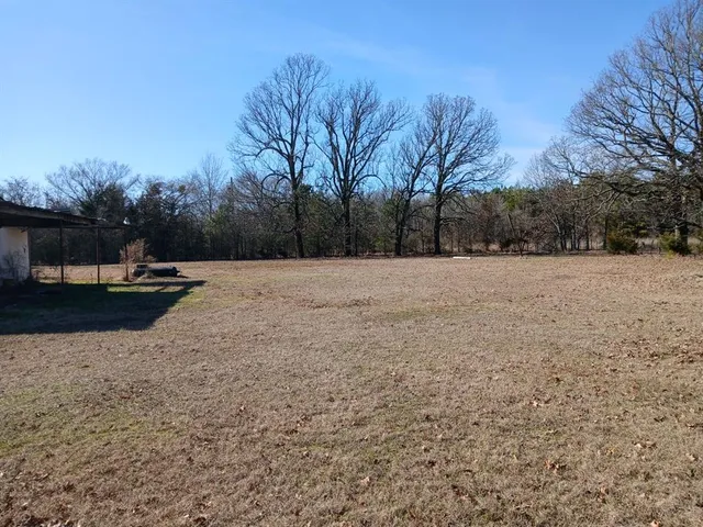a view of open space with trees