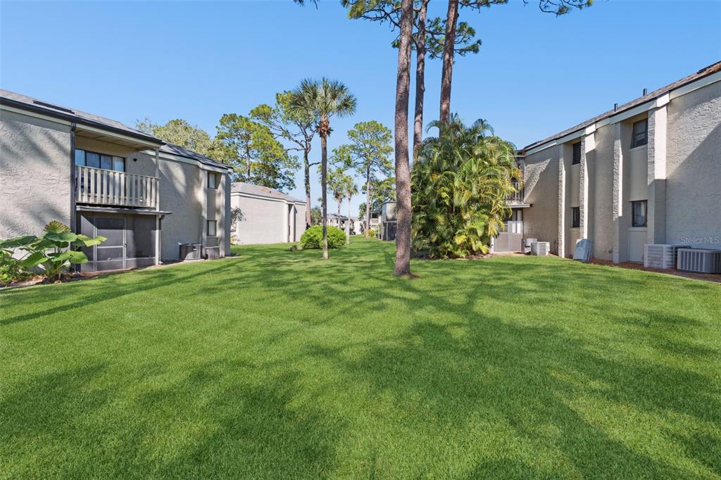 116 Springwood Circle, Unit A Longwood, FL 32750 - Photo 17 of 17 a view of a house with a yard and a tree