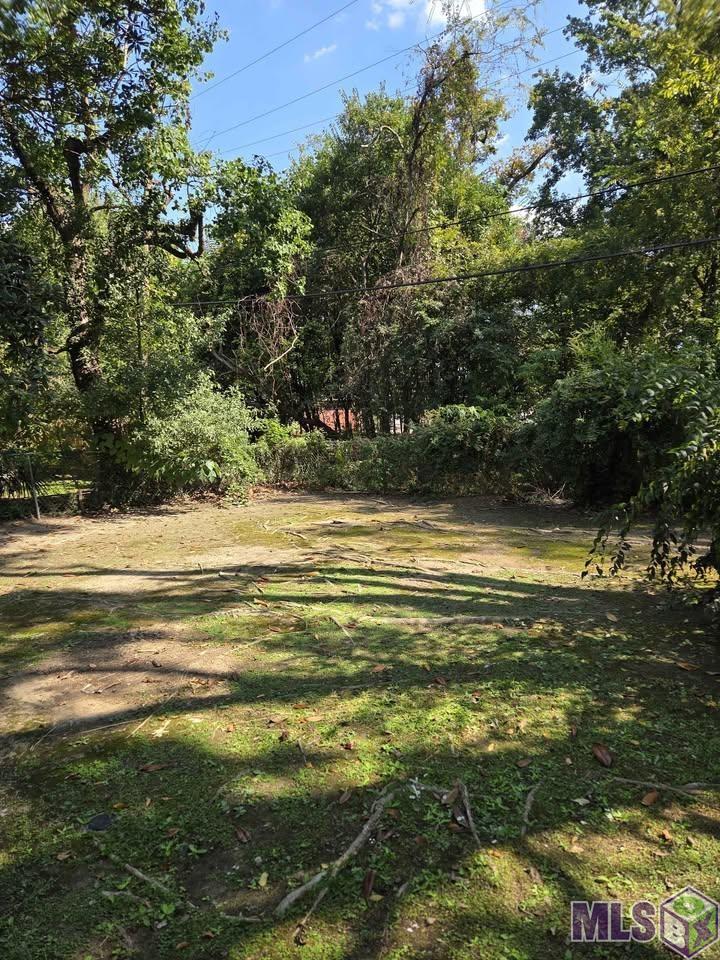 2535 Barber Street Baton Rouge, LA 70808 - Photo 3 of 4