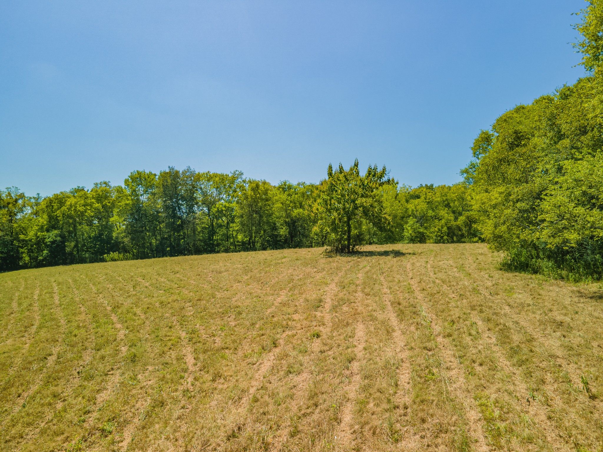 4283 Turkey Creek Road Williamsport, TN 38487 - Photo 4 of 13 a view of a yard with an outdoor space