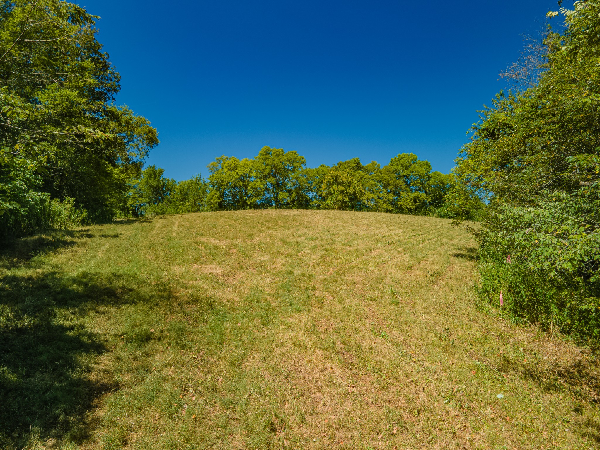 4283 Turkey Creek Road Williamsport, TN 38487 - Photo 5 of 13 a view of an ocean from a yard