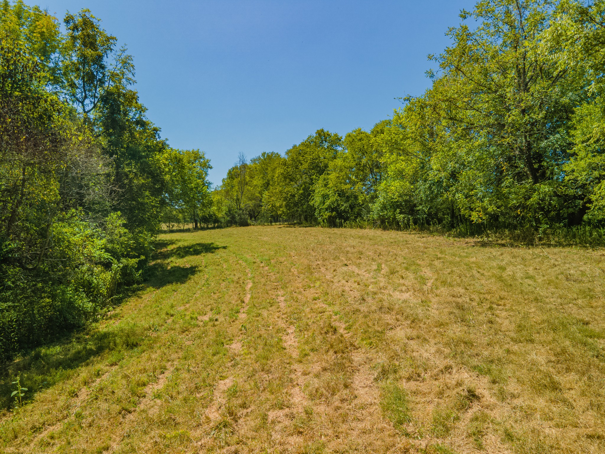 4283 Turkey Creek Road Williamsport, TN 38487 - Photo 8 of 13 a view of a field with trees in the background