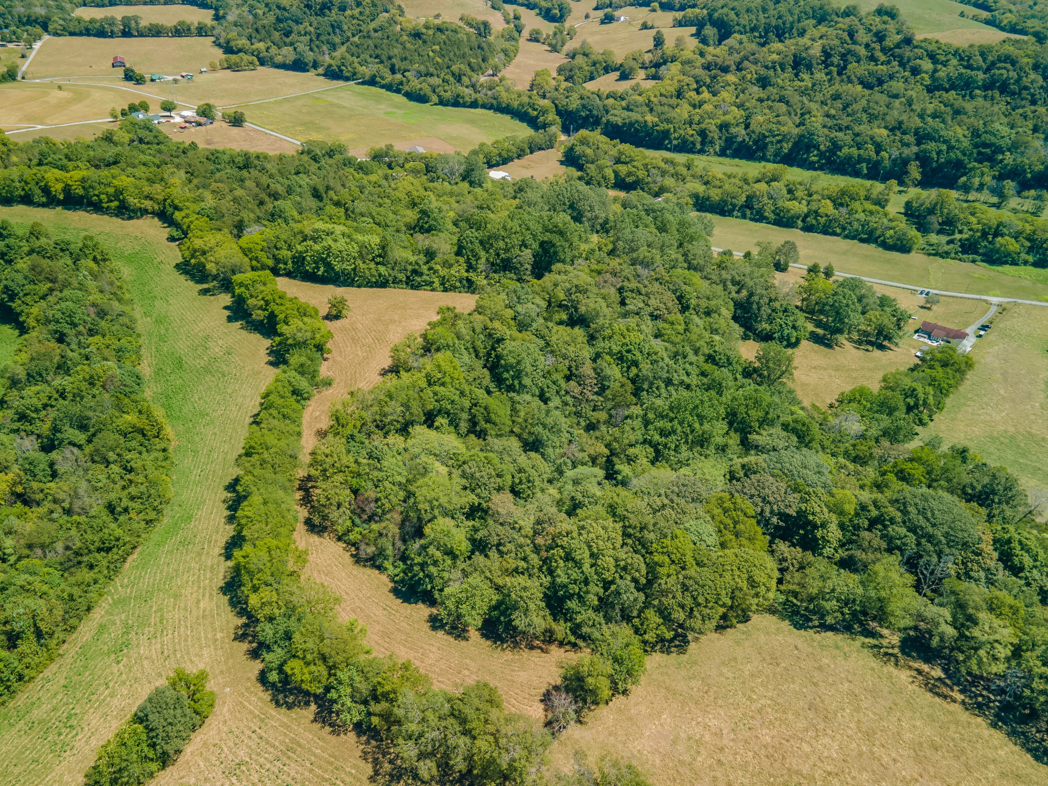 4283 Turkey Creek Road Williamsport, TN 38487 - Photo 9 of 13 an aerial view of a yard