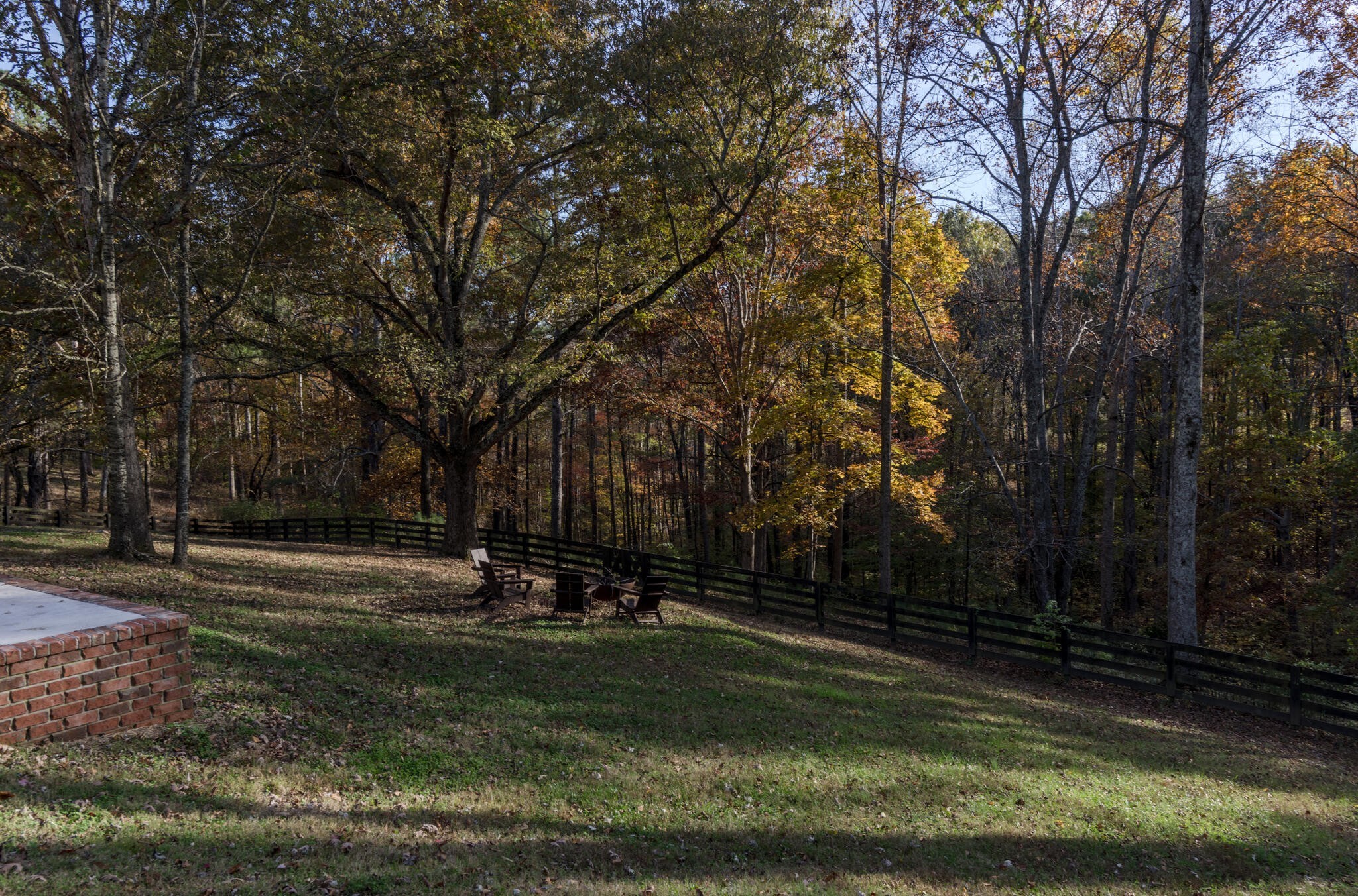 5561 Parker Branch Road Franklin, TN 37064 - Photo 18 of 21 a view of a park with large trees