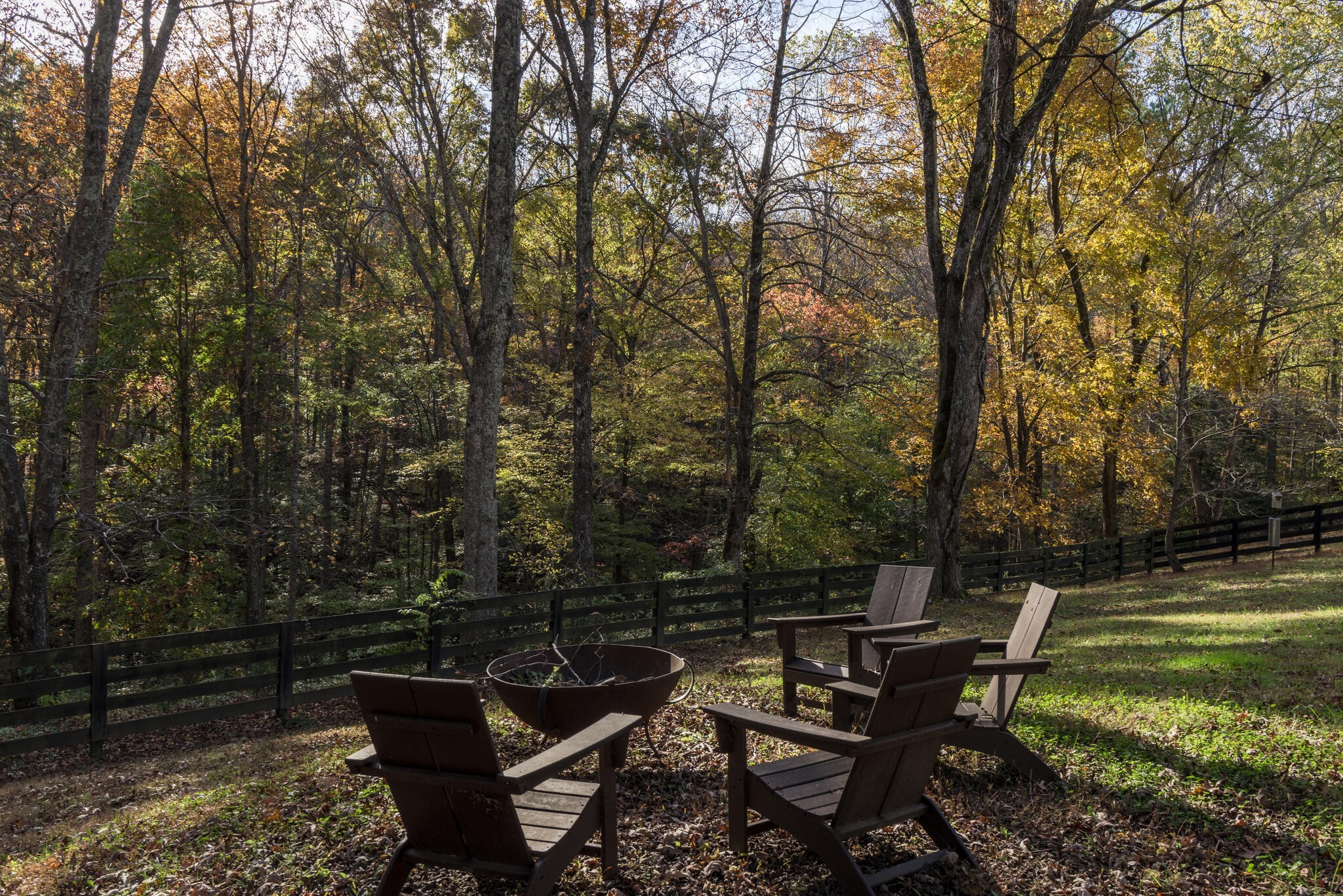 5561 Parker Branch Road Franklin, TN 37064 - Photo 19 of 21 a view of a bench in a backyard