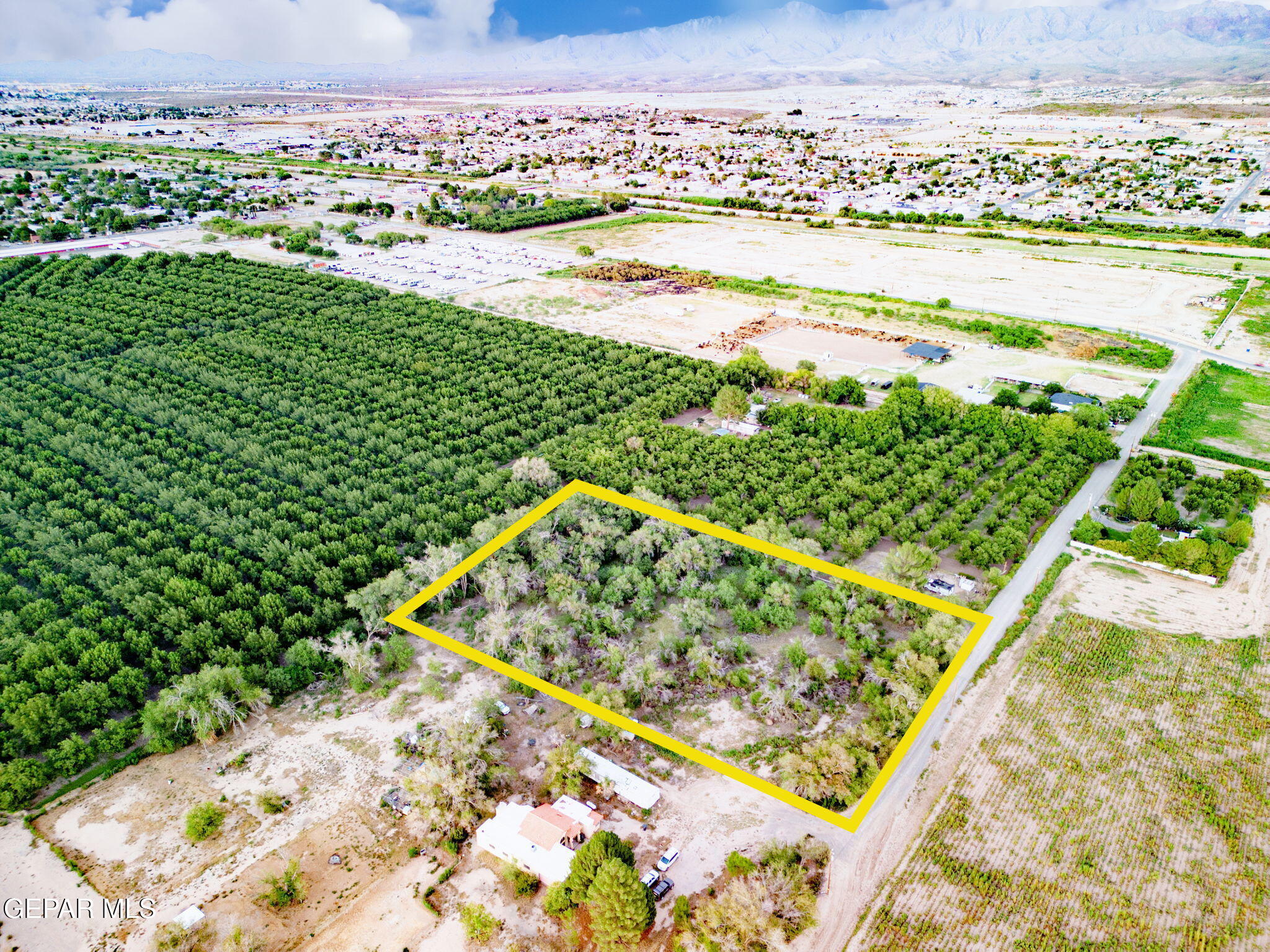 Pn-316507 Moore Road Canutillo, TX 79835 - Photo 11 of 17 11-web-or-mls-DJI_0990 copy