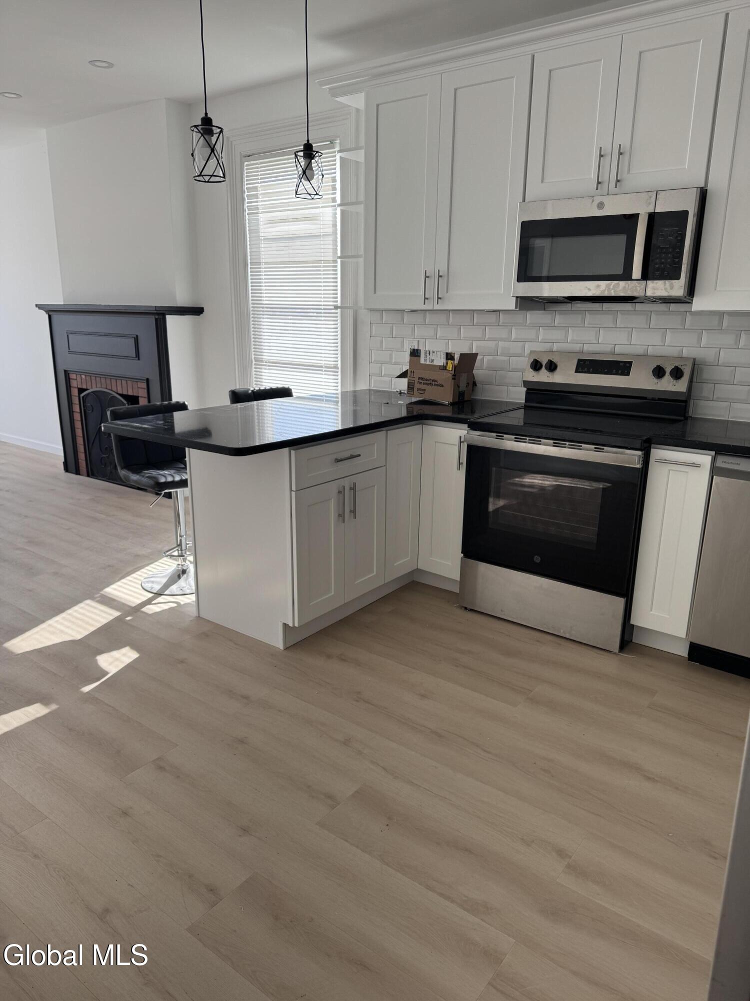 445 5th Avenue, Unit 2 Troy, NY 12182 - Photo 8 of 20 IMG_1060