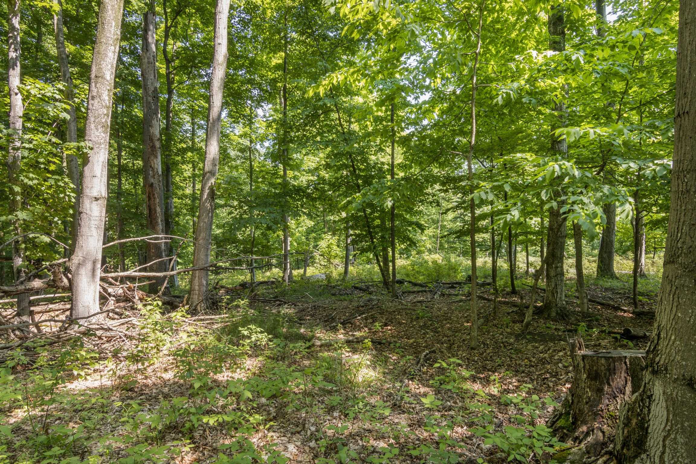Rex Beach Road Ellsworth, MI 49729 - Photo 30 of 31 Gallery Image 30