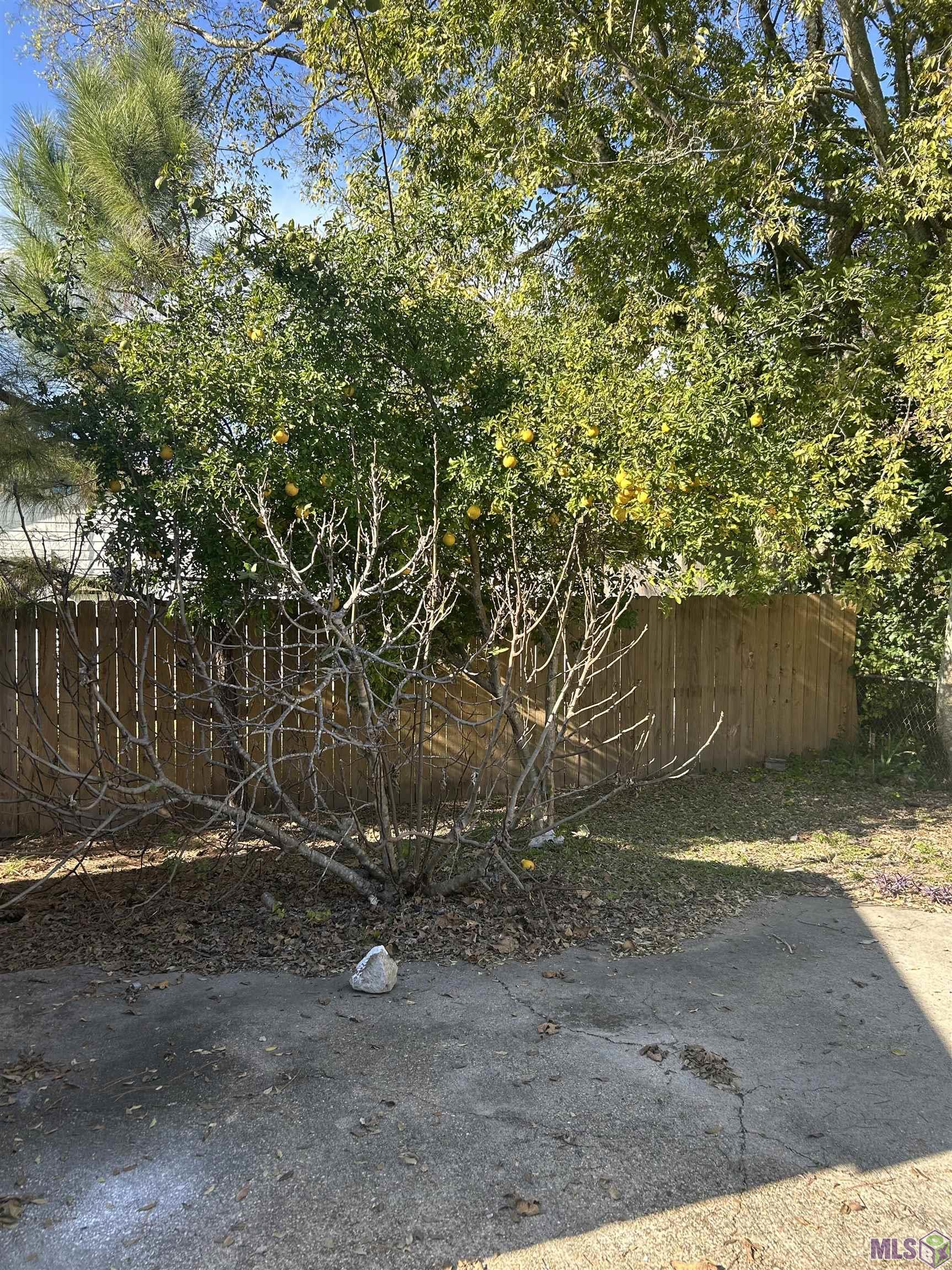 57734 Grove Road Plaquemine, LA 70764 - Photo 30 of 30