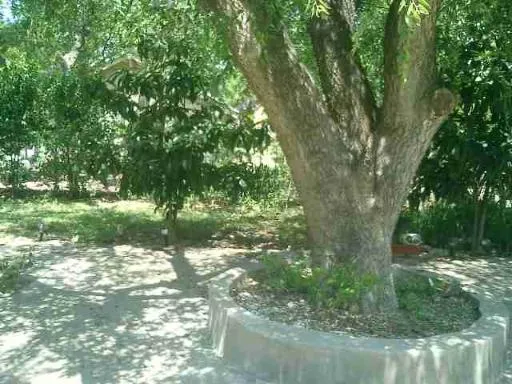 $1,550 | 1206 Avant Avenue, San Antonio, TX 78210