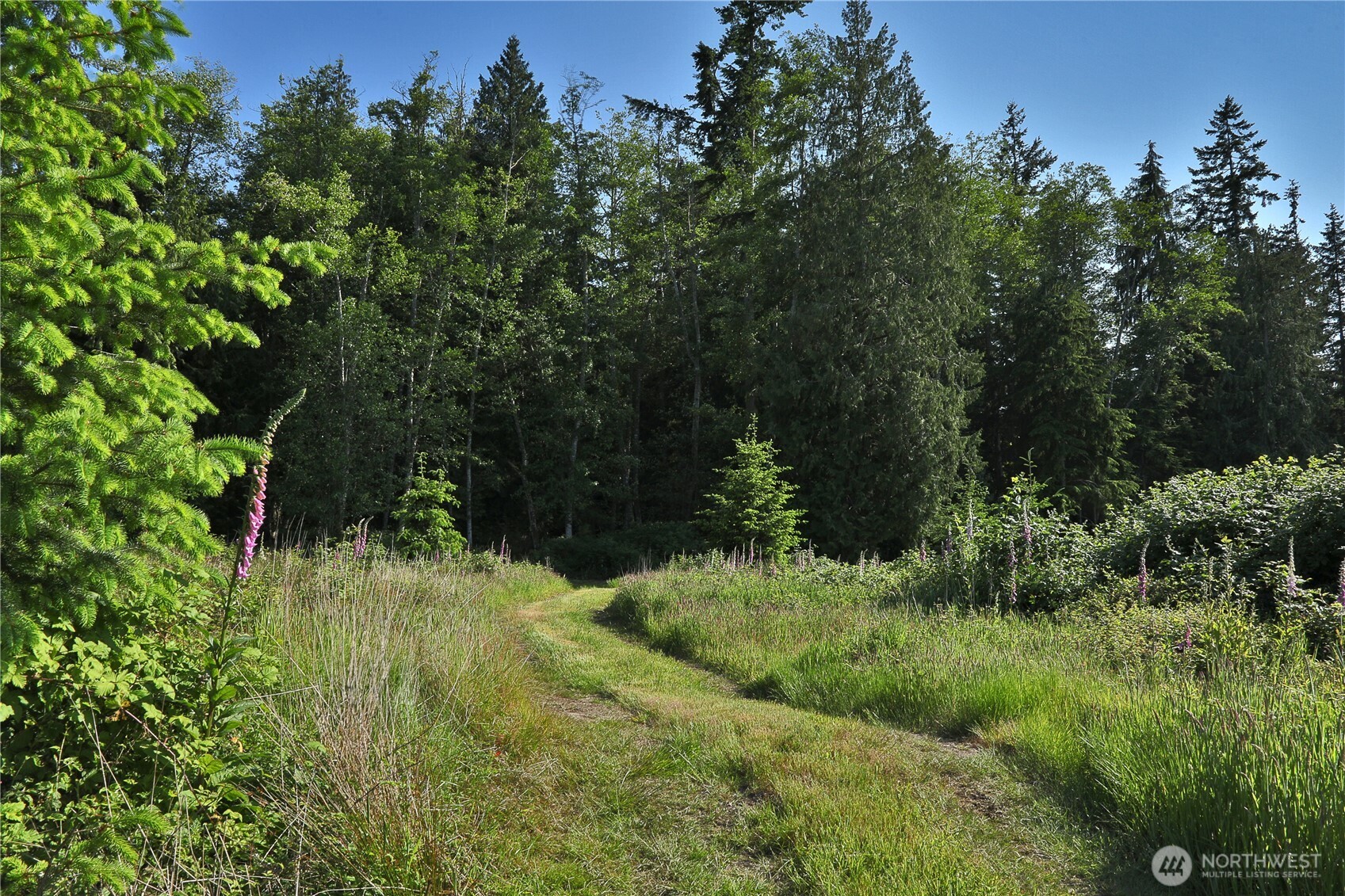 2062 East Goodell Road Freeland, WA 98249 - Photo 17 of 37