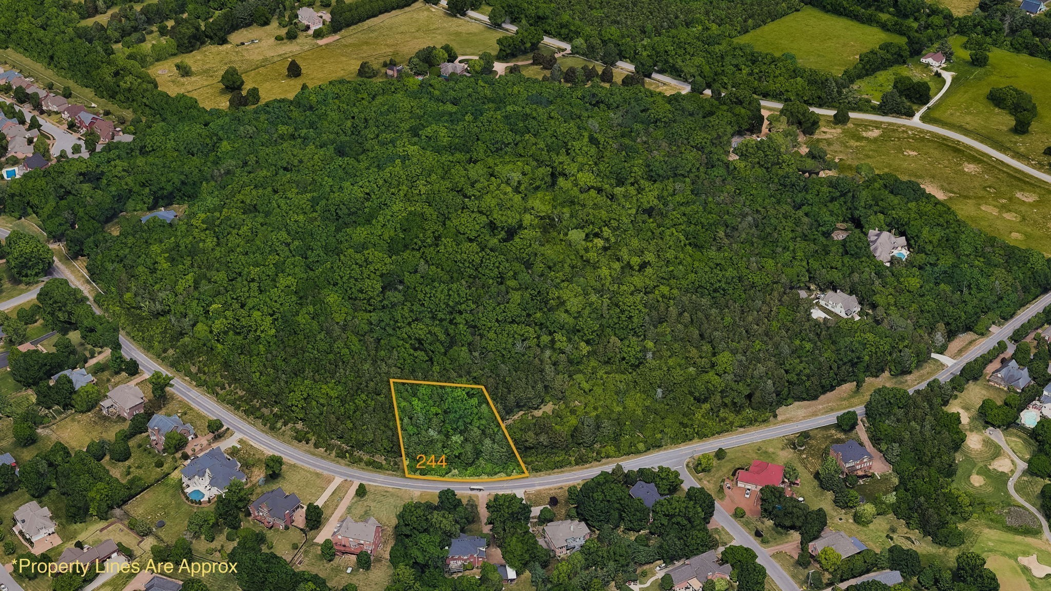 242 Spencer Creek Road Franklin, TN 37069 - Photo 8 of 16