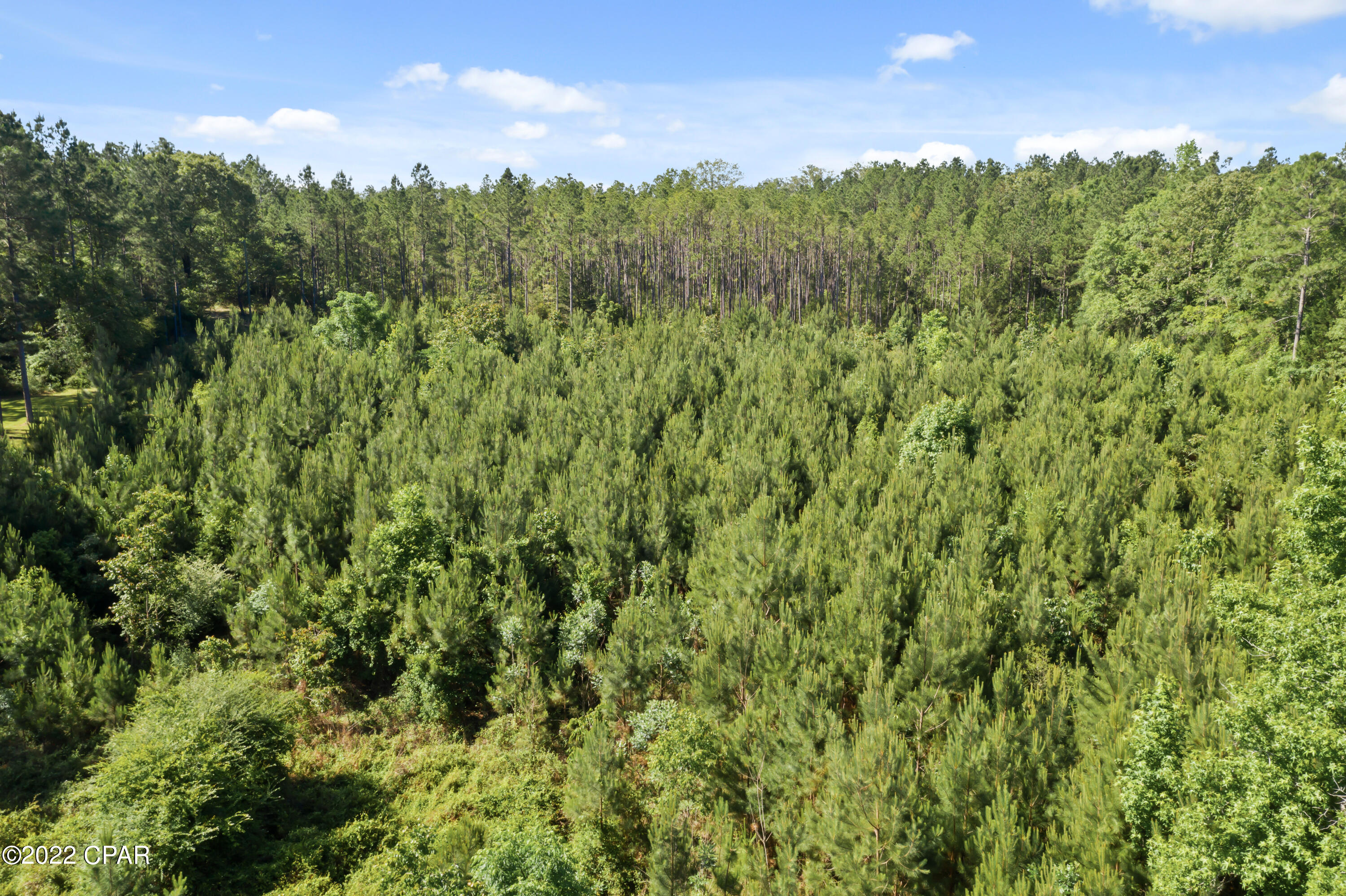 3045 Douglas Ferry Road Bonifay, FL 32425 - Photo 21 of 22