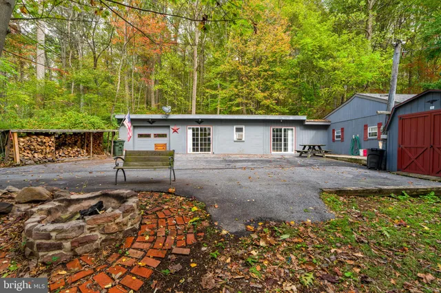 a view of backyard with large trees and plants