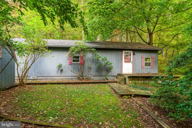 a backyard of a house with plants and trees