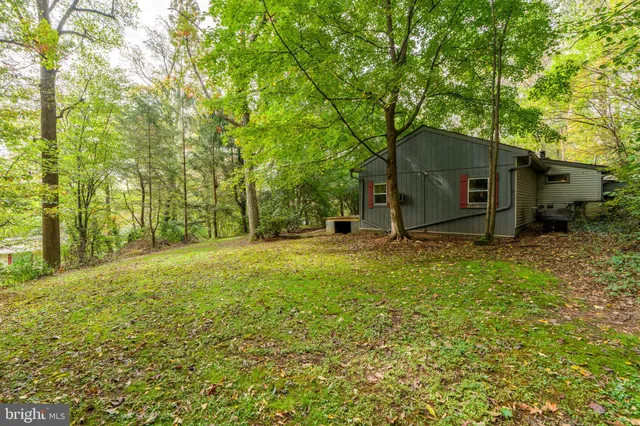a view of backyard with cabin