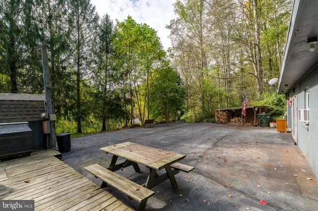 a view of a backyard with large trees