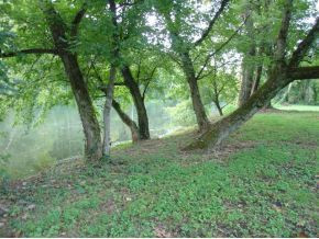3037 Cliffside Road Kingsport, TN 37664 - Photo 10 of 12 Photo 10