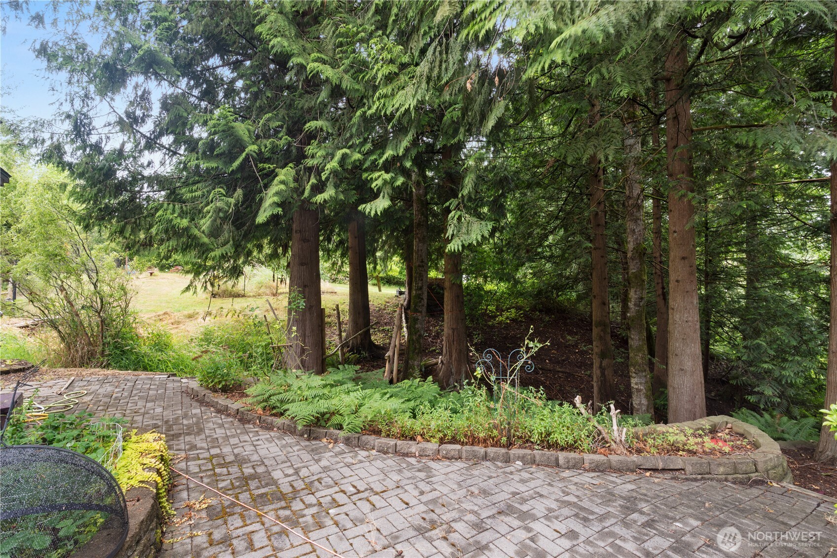 5818 Everson Goshen Road Bellingham, WA 98226 - Photo 27 of 34 a backyard of a house with lots of green space
