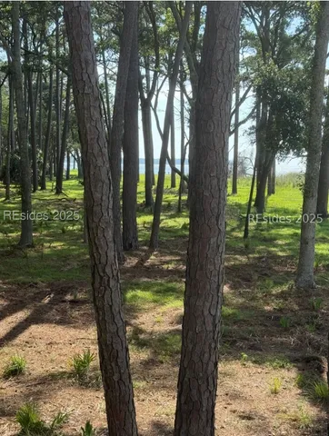 $87,000 | 87 Martinangel Lane, Daufuskie Island, SC 29915