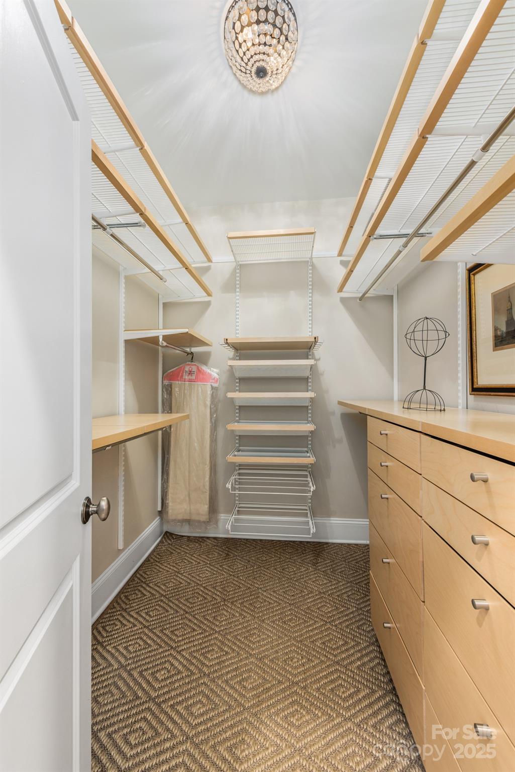 1025 Ardsley Road, Unit 104 Charlotte, NC 28207 - Photo 23 of 30 a storage room with cabinets