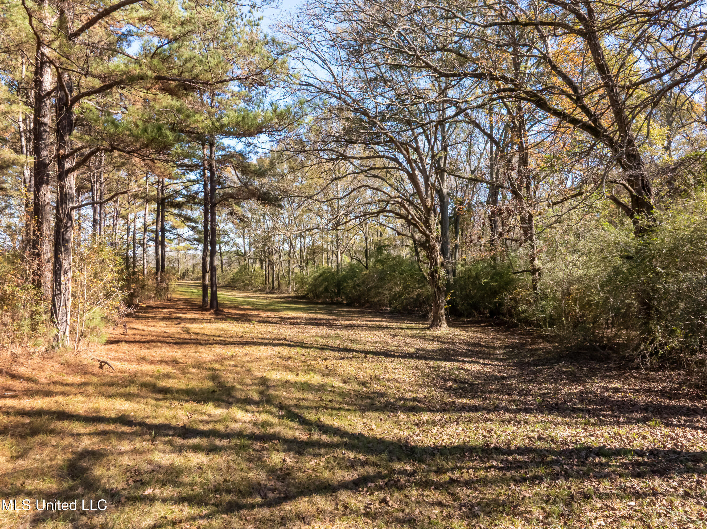 5844 North Williamsburg Road Bassfield, MS 39421 - Photo 84 of 105 5844_N_Williamsburg_Rd-74