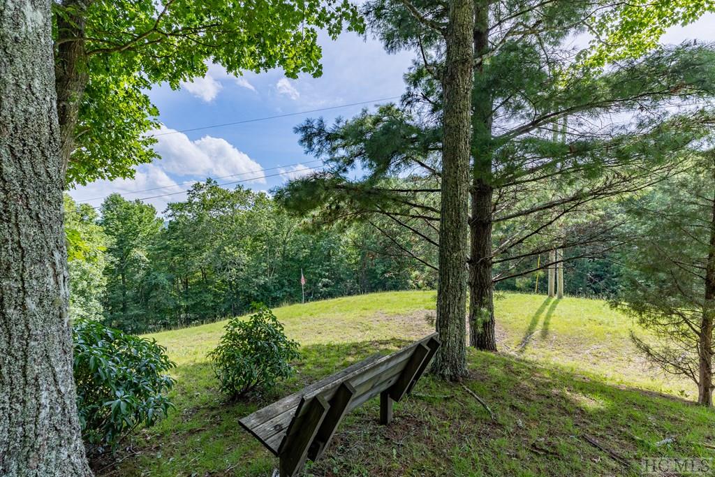 1465 Bee Tree Road Glenville, NC 28736 - Photo 25 of 27 Gallery Image 25